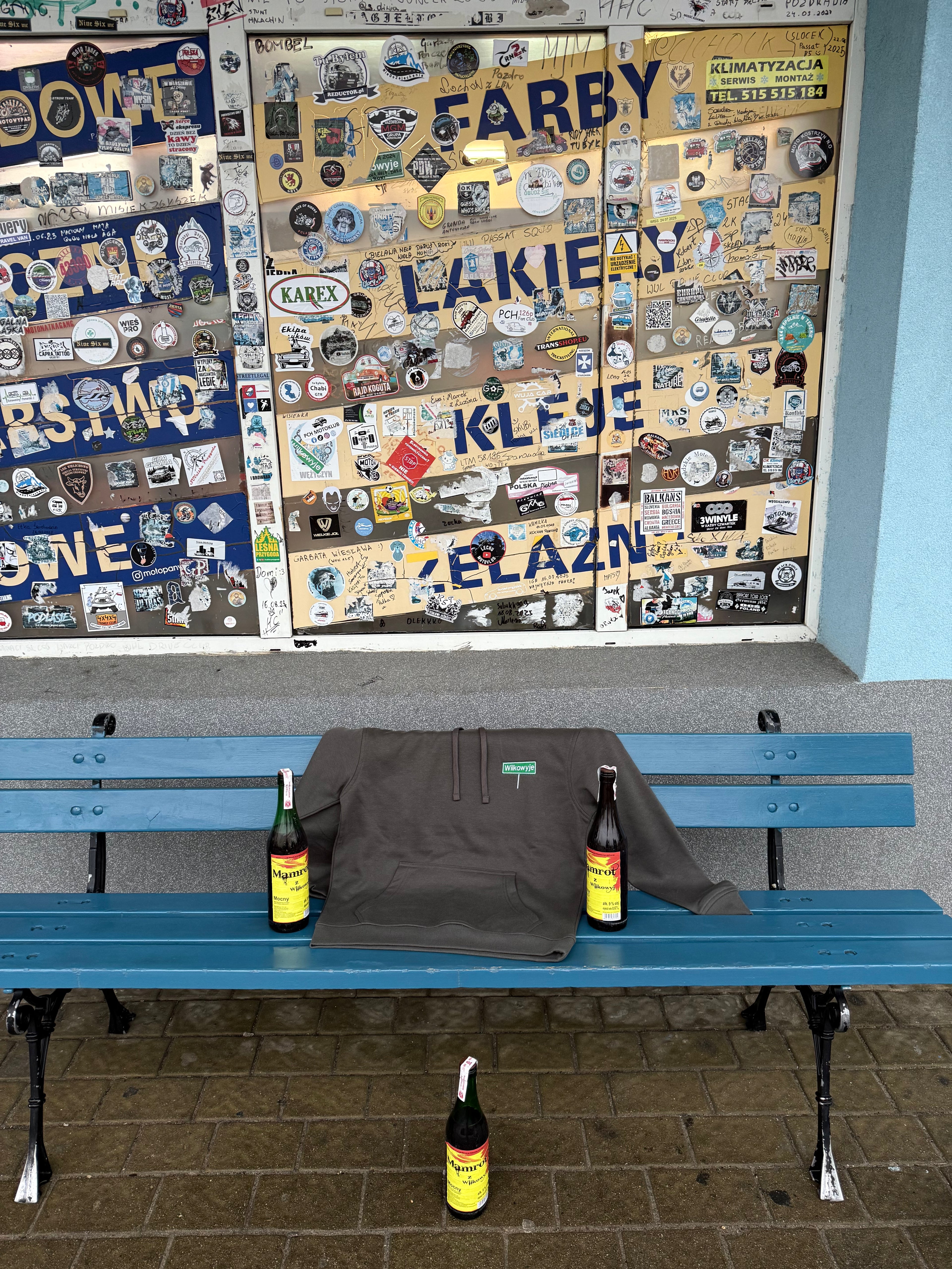 Bluza z haftem Wilkowyje - CustomClothes.pl