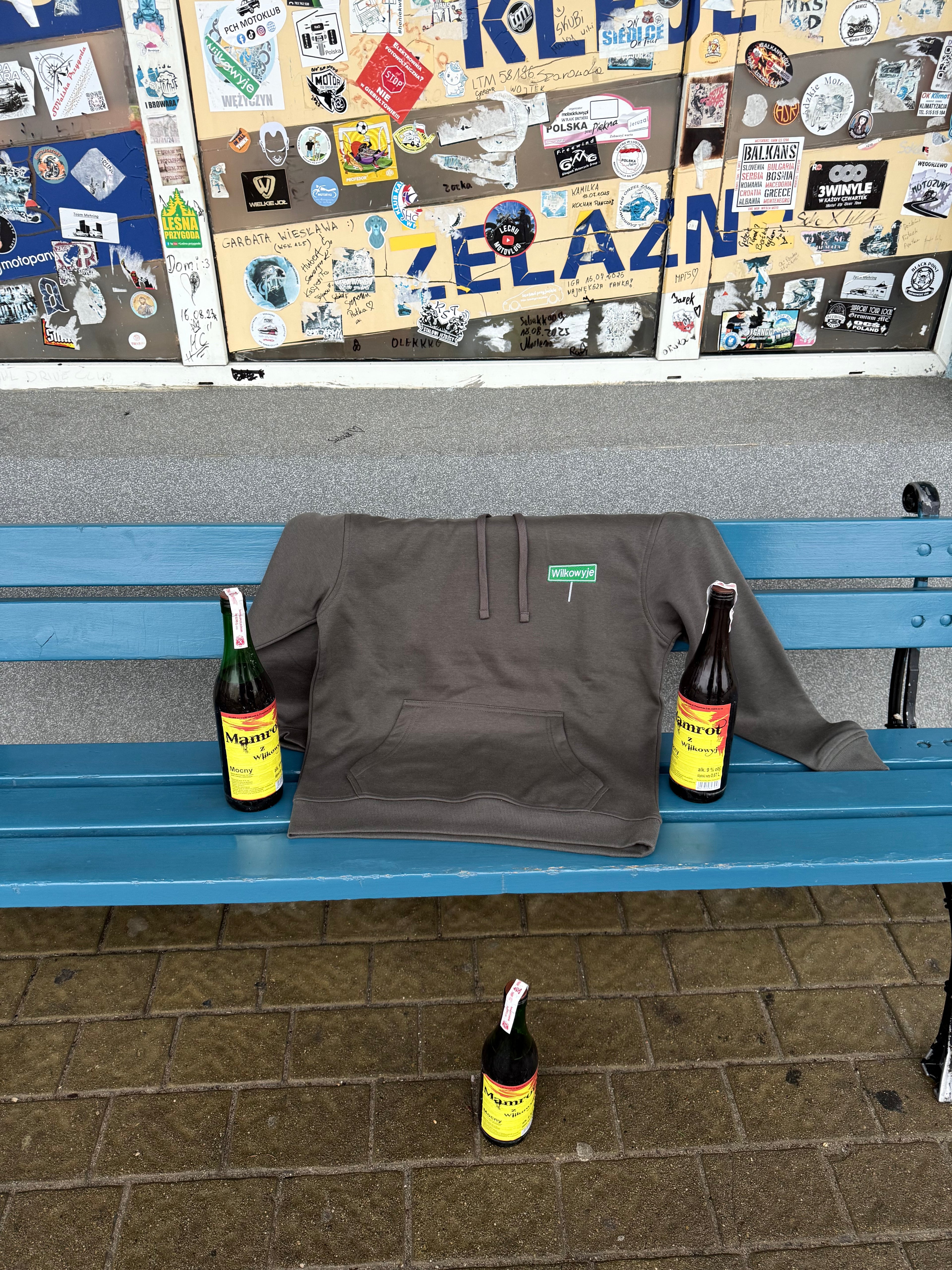 Bluza z haftem Wilkowyje - CustomClothes.pl