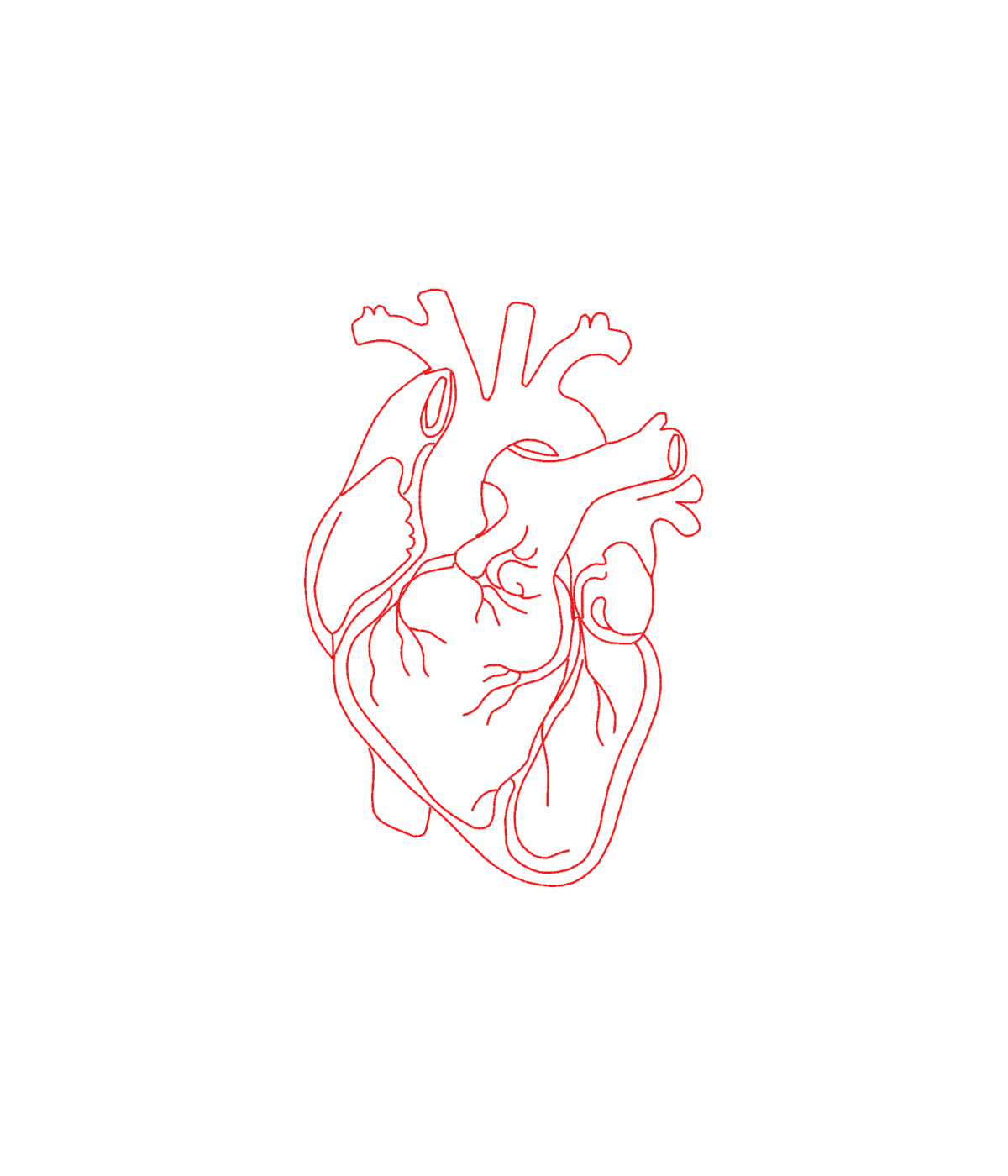 Bluza z haftem anatomicznego serca – bluza anatomicznego serca z organicznej bawełny, ekologiczna