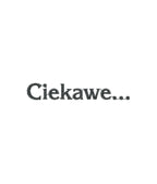 Czapka z haftowanym napisem ciekawe