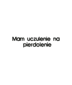 Black T-shirt with embroidered "Mam uczulenie na pierdolenie" slogan from CustomClothes.pl, featuring detailed embroidery on the front.