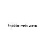 Black T-shirt with embroidered "Pojebie mnie zaraz" phrase from CustomClothes.pl, featuring detailed embroidery on the front.