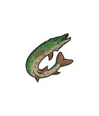 White t-shirt from CustomClothes.pl featuring a colorful embroidered jumping pike fish design.