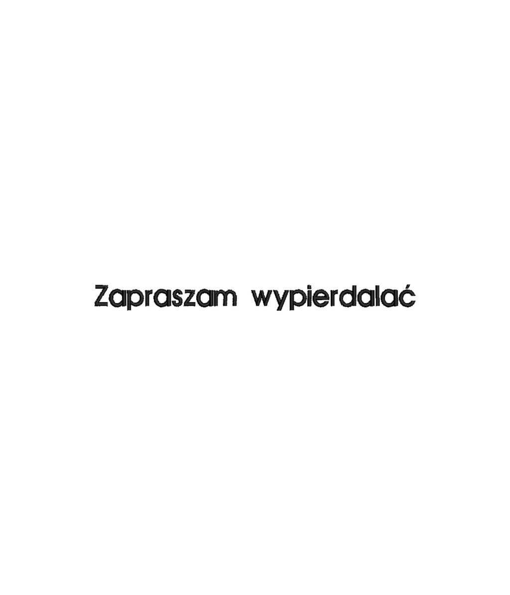 Funny hoodie with embroidered "Zapraszam/Wychodź" message from CustomClothes.pl, featuring a humorous design and casual fit.